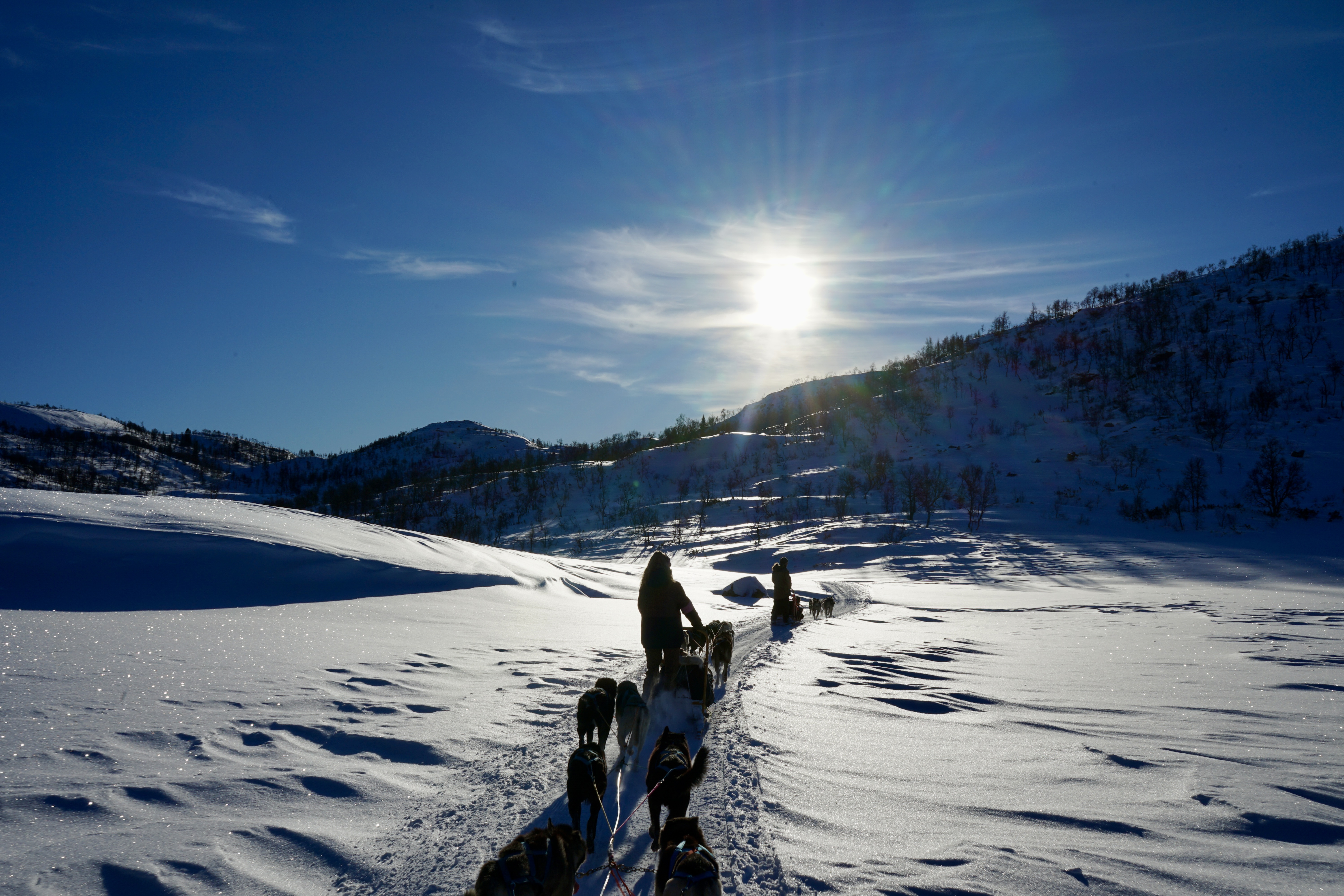 Abenteuer für Kinder in der Natur