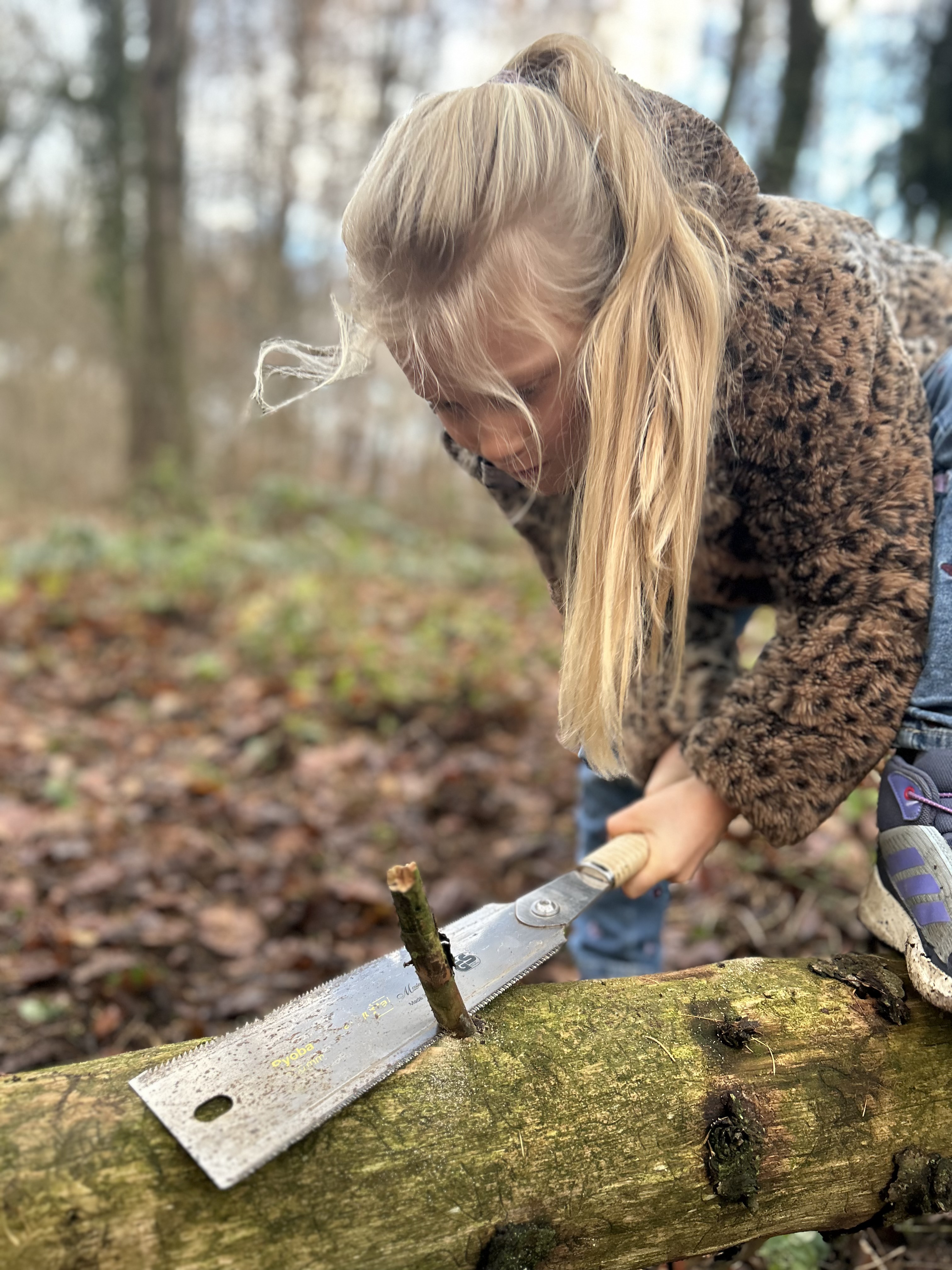 Draußen zuhause – Bewegung in der Natur